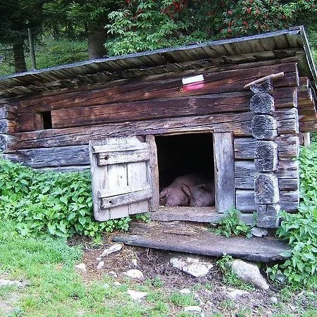 Haus Julia Hébergement de vacances