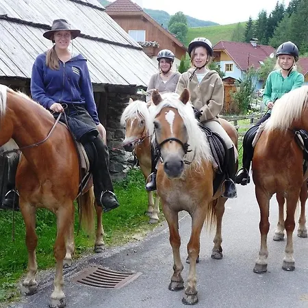 Haus Julia * Mariapfarr