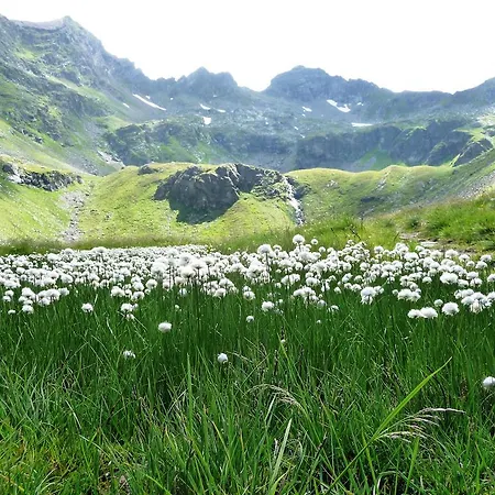 Haus Julia Feriehus *