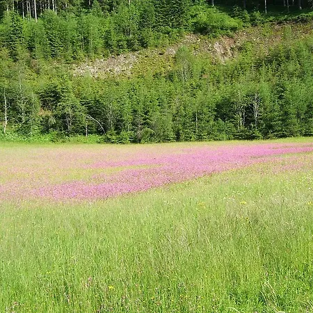 Haus Julia * Mariapfarr