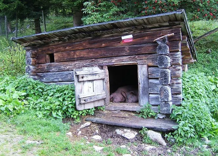 Haus Julia Сasa de vacaciones