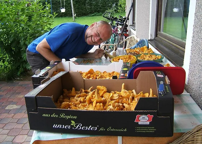 Haus Julia Mariapfarr