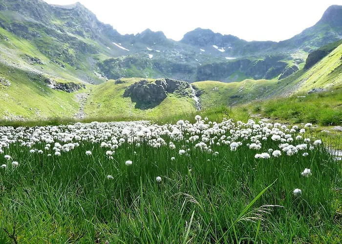 Haus Julia Сasa de vacaciones *