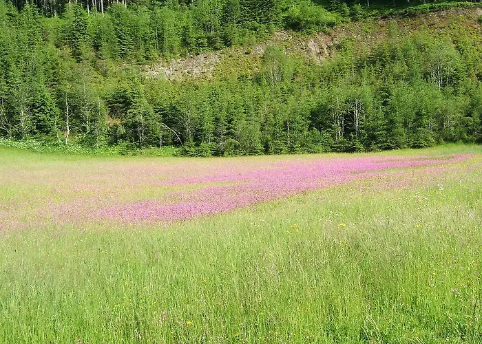 Haus Julia * Mariapfarr